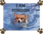 bonbon2007's Avatar