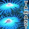 yamant's Avatar