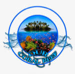 Our Coral Reef's Avatar