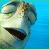 reefnewbie54321's Avatar